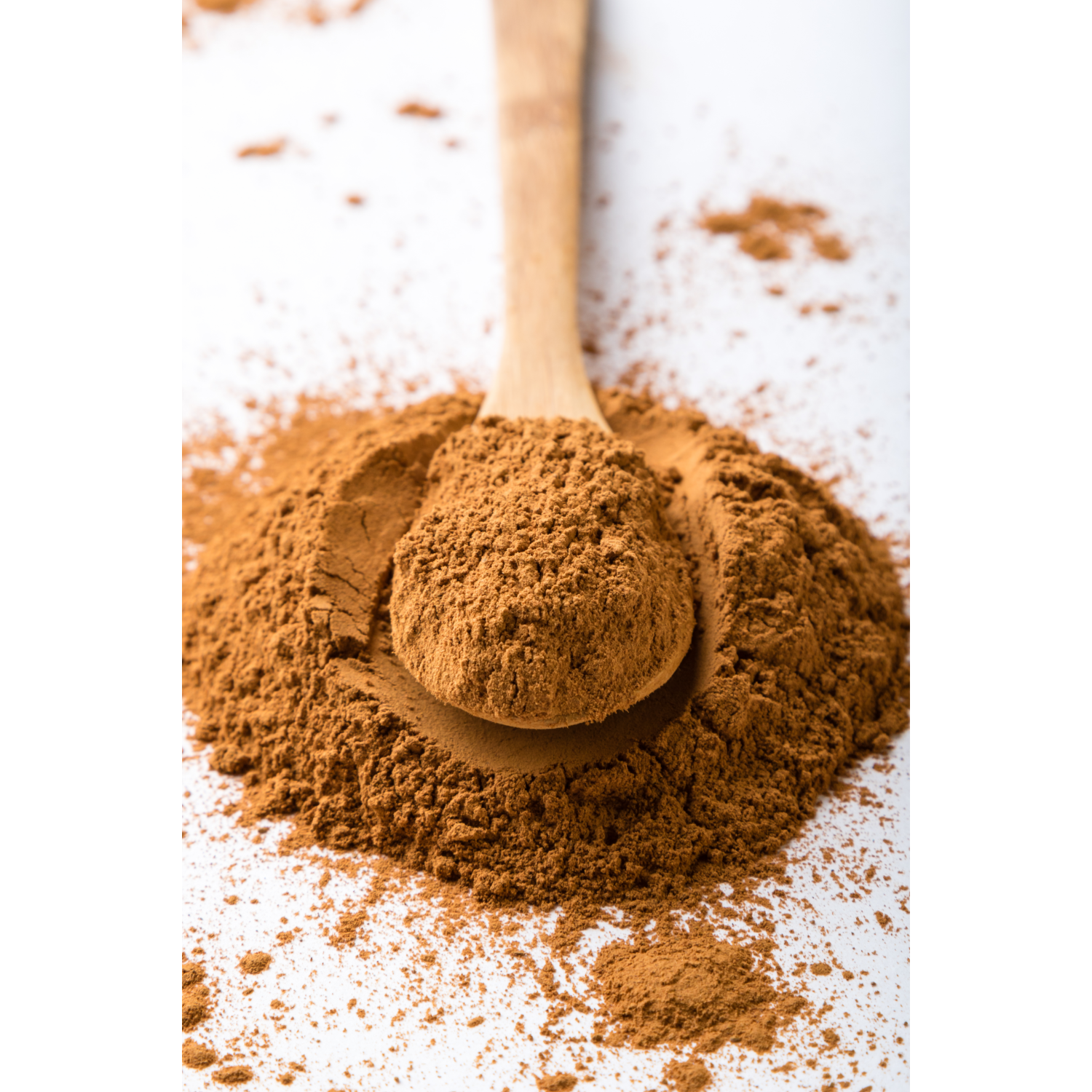 NATURE YARD Real Ceylon Cinnamon Powder - For Cooking 100% real