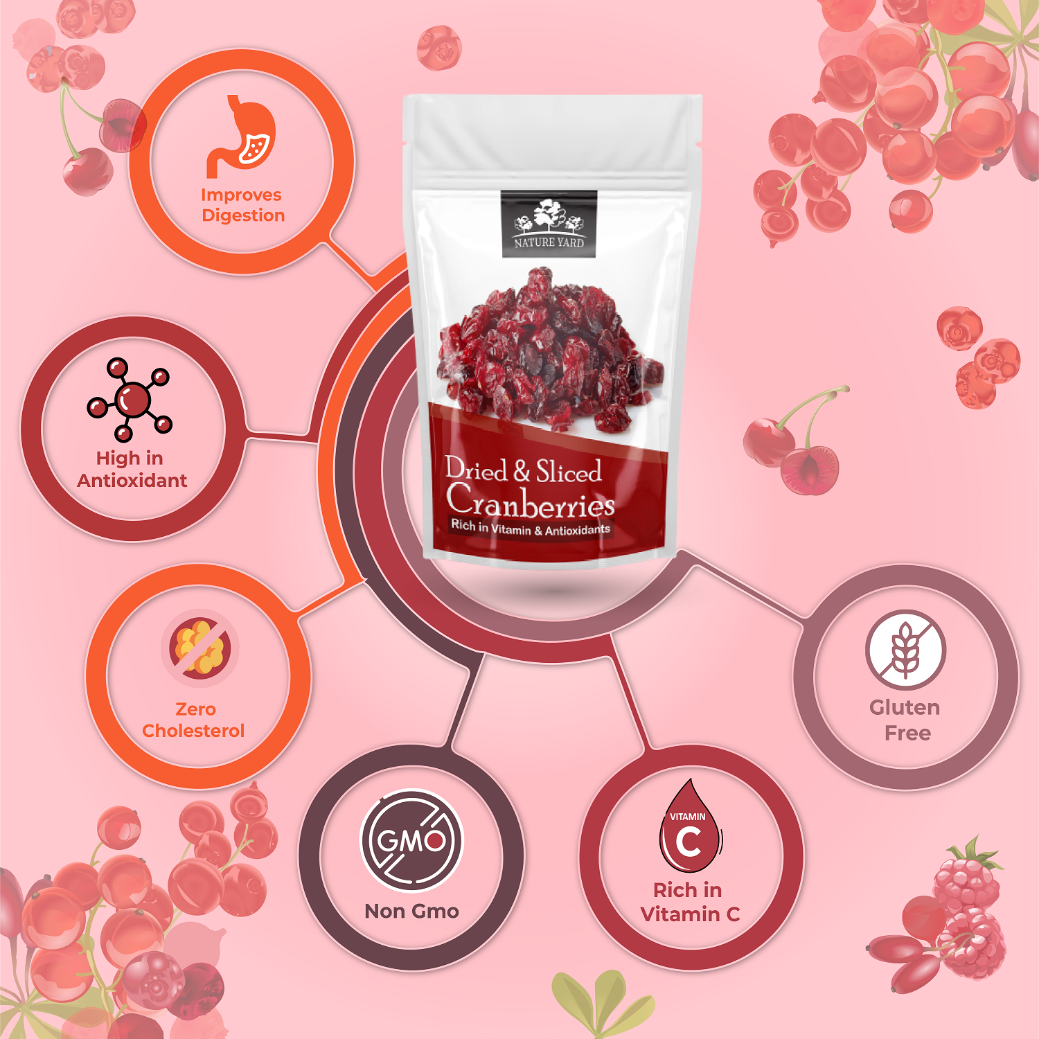 Organic American Dried Cranberry dry fruit Naturally Dehydrated Real